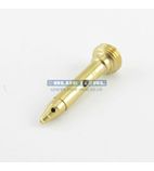 026136 Pilot Injector LPG