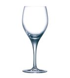 DL193 Sensation Exalt Wine Glasses 250ml