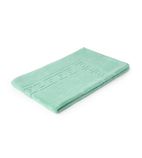 Nova GW368 Bath Mat Mint