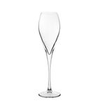FB193 Monte Carlo Champagne Flutes 230ml (Pack of 24)