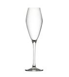 Seine DX923 Champagne Flutes 260ml (Pack of 6)