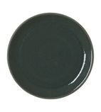 VV2131 Revolution Jade Plate Coupe 280mm (Pack of 12)