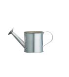 Mini Watering Can Chip Cup - CL249