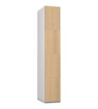 DE686-P Four Door Padlock Locker Ash Finish