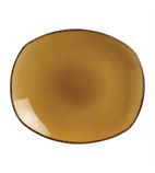 Image of Terramesa Mustard V7137 Spice Plates 255mm (Pack of 24)