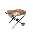 ZENITH4 Foldable Propane Gas Barbecue Grill