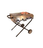 ZENITH4GAS Foldable Propane Gas Barbecue Grill