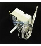 022787/51 Thermostat
