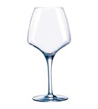 DP755 Pro Tasting Open Up Wine Glasses 320ml (Pack of 24)