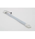 15584 LED Light