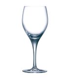 DL191 Sensation Exalt Wine Glasses 310ml (Pack of 24)