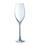 DH849 Grand Cepages Champagne Flutes 240ml