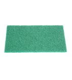 HW010 100% Recycled Scouring Pads (Pack of 10)