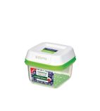 FreshWorks Small Square Container 0.591Ltr
