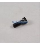 020876/51 Black Hex Hinge Bolt