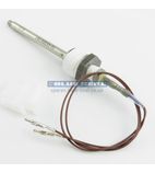020117 Temperature Probe