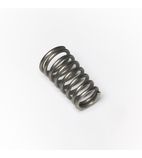 TP1007NSP Replacement Spring
