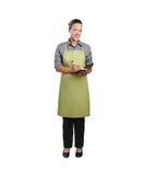 B190 Bib Apron Lime