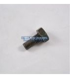 020831/51 Hinge Bush Bolt