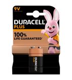 Plus 9V Alkaline Battery (Pack of 1)