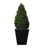 CD160 Artificial Topiary Buxus Pyramid 1200mm