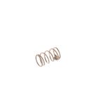 SP65 Governer Spring for Silverlink 600 Fryers, Chip Scuttles & Pasta Boilers