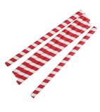 FP443 Individually Wrapped Paper Smoothie Straws Red Stripes 210mm (Pack of 250)