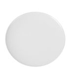 D5275 White Melamine Plate 30.5cm