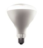 AE307 Shatterproof Heat Lamp