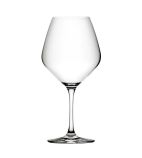 Seine DX920 Burgundy Wine Glasses 630ml (Pack of 6)