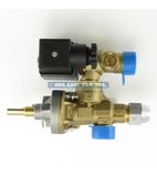 228706 Gas Control Assembly Kit for Evolution Gas Bratt Pans