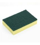 HX273 Foam Scourers (Pack of 10)