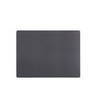 DL908 Skin Grey Rectangle Placemat 48X35cm