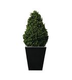 CD159 Artificial Topiary Buxus Pyramid 900mm