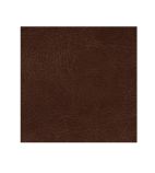 AJ844 Antique Tan Faux Leather Swatch