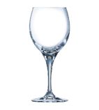 DL202 Sensation Wine Glasses 310ml