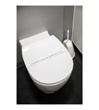 Image of CG862 Hygiene Sanitary Toilet Strips (Pack of 250)