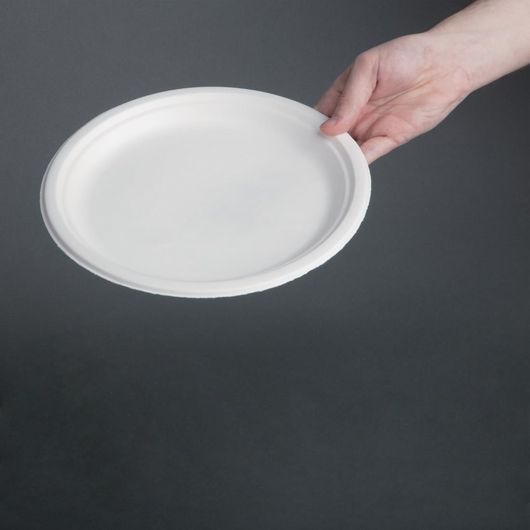 Fiesta Compostable CW904