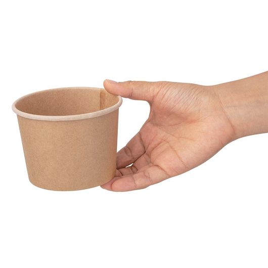 Fiesta Compostable FB162
