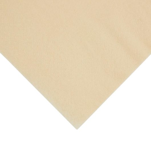 Fiesta Recyclable FE220