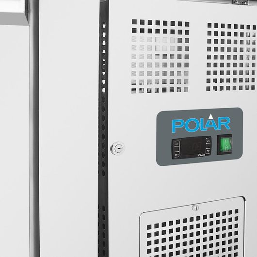 Polar DL917