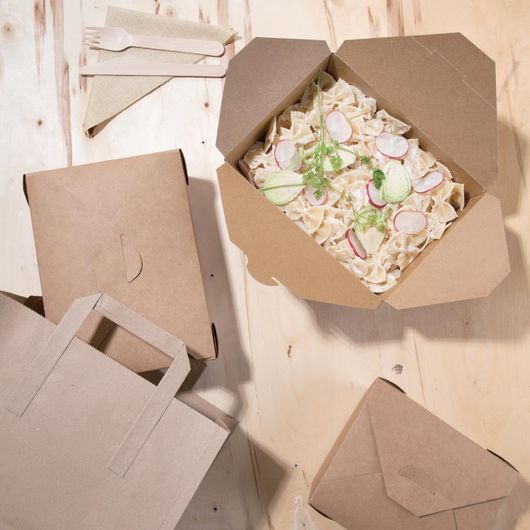 Fiesta Recyclable FN896
