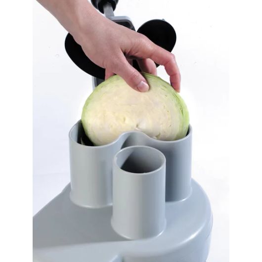 Robot Coupe CL 20