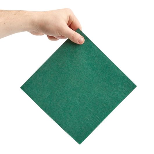 Fiesta Recyclable FE239
