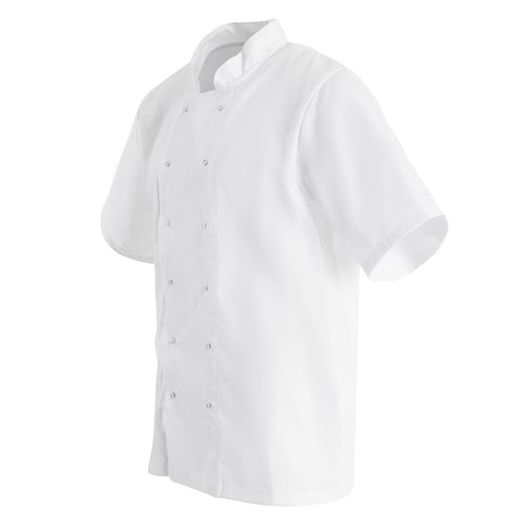 Whites B250-L