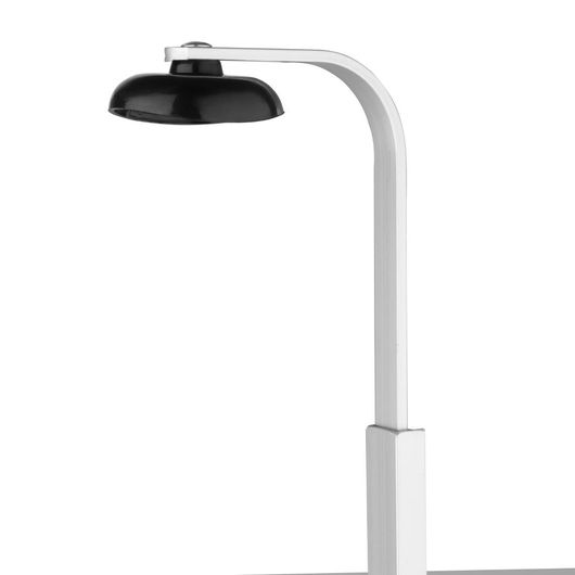 Olympia W622