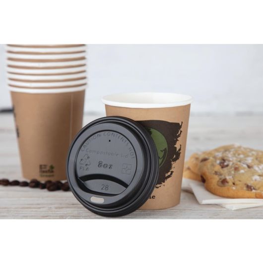 Fiesta Compostable DS054