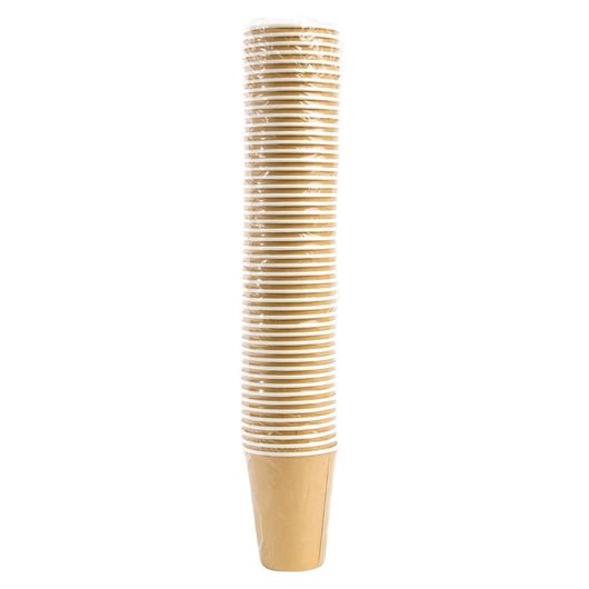 Fiesta Recyclable GF032
