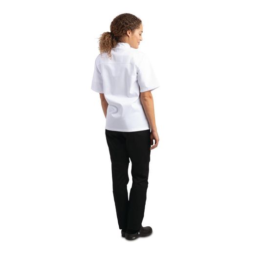 Whites DL711-M