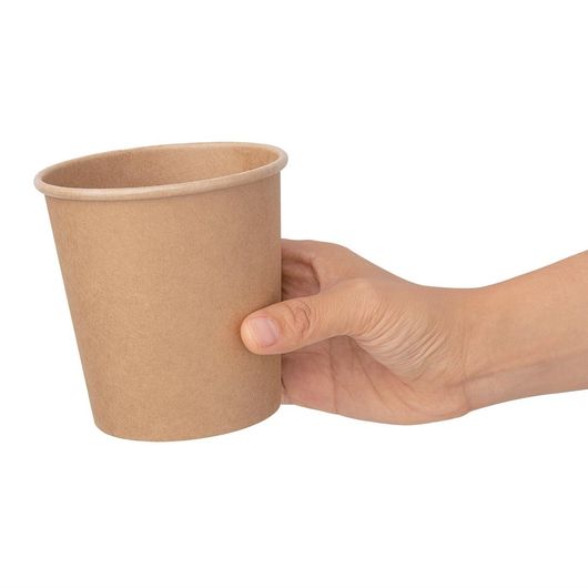 Fiesta Compostable FB164